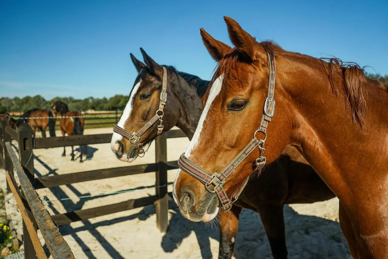 הוילה לןקמאג'ור Vmg Horse Ranch (Adults Only) ספרד