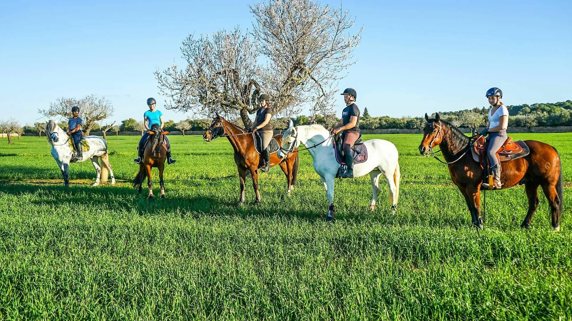 Vmg Horse Ranch (Adults Only) Βίλα Llucmajor  Κατάλυμα σε φάρμα